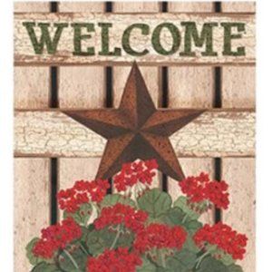 Barn Star Welcome Flag with Geranium planter